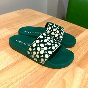 COACH Slides